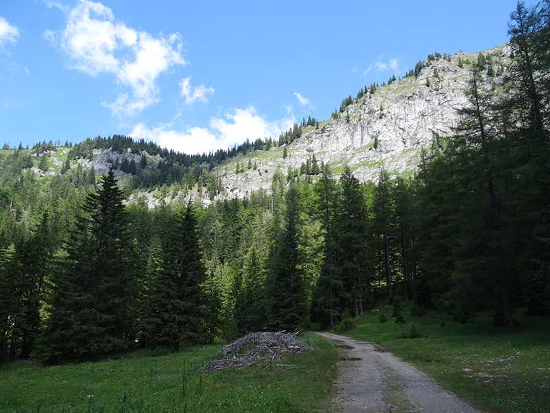 Buchbergkogel